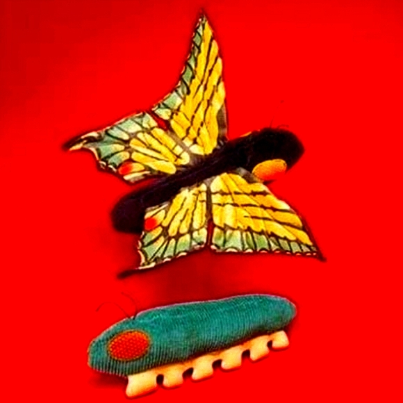 Toy Puppet Caterpillar/Butterfly Retired Vintage Reversible By Folkmanis - Picture 16 of 16